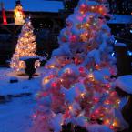  Christmas Lights /    